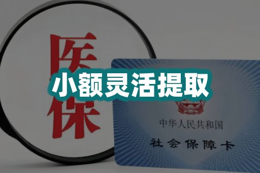 小额灵活提取
